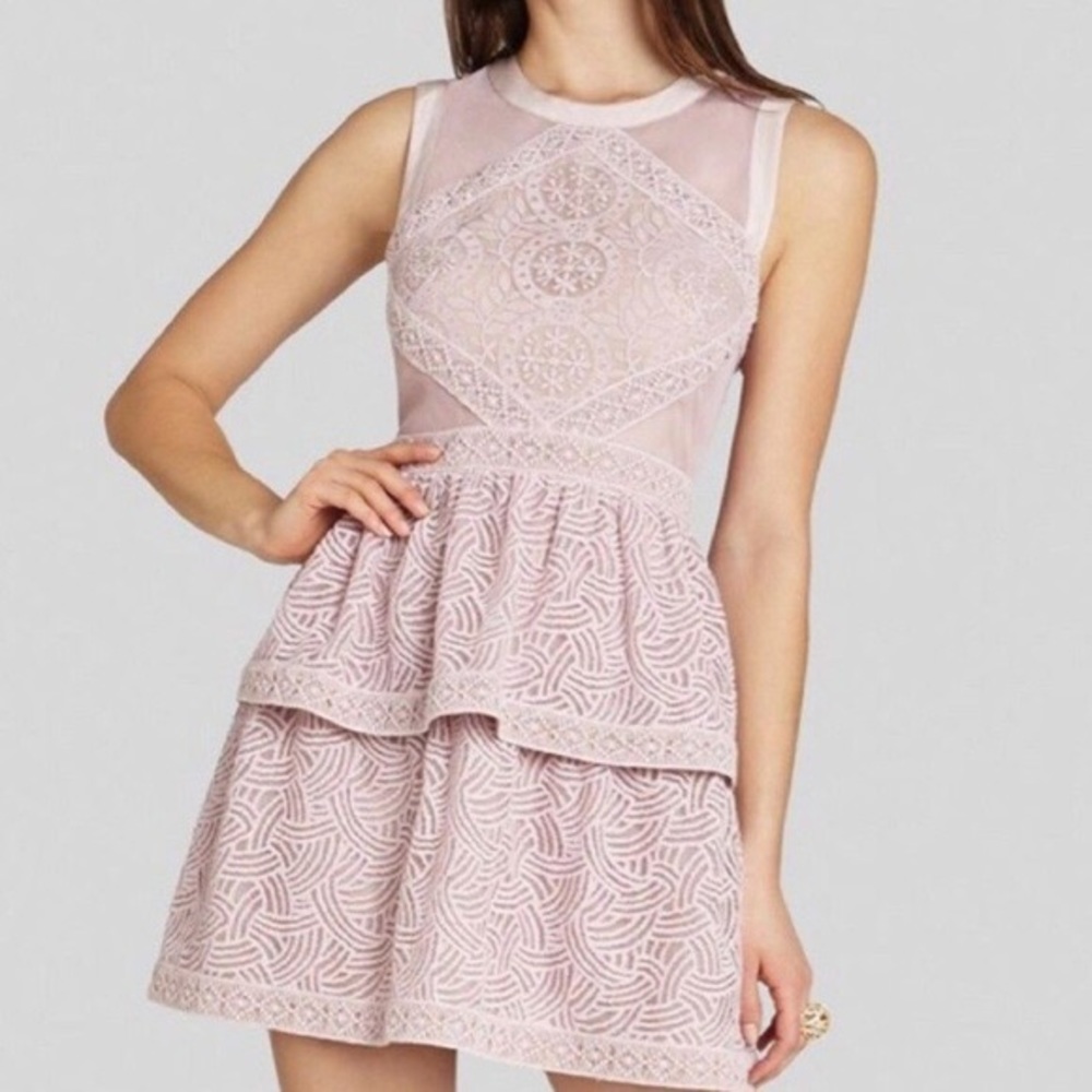 BCBGMaxAzria Sheer Peplum Pink Dress